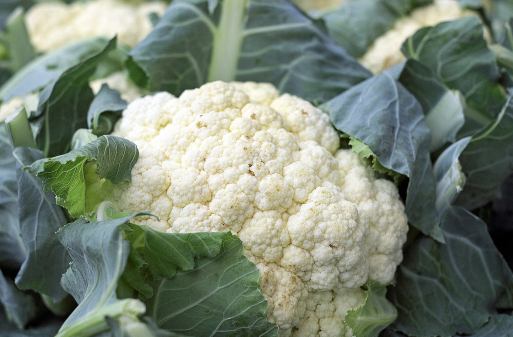 Cauliflower – Humble, Yet Wonderful