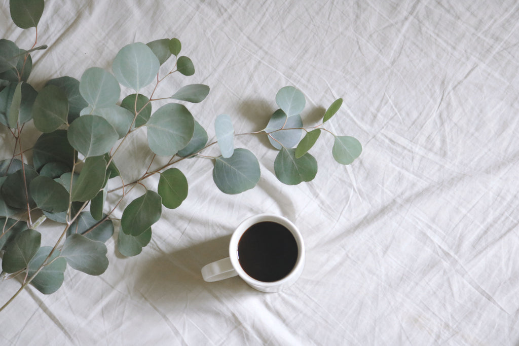 Eucalyptus Oil: Pain Relief from the Plant Kingdom