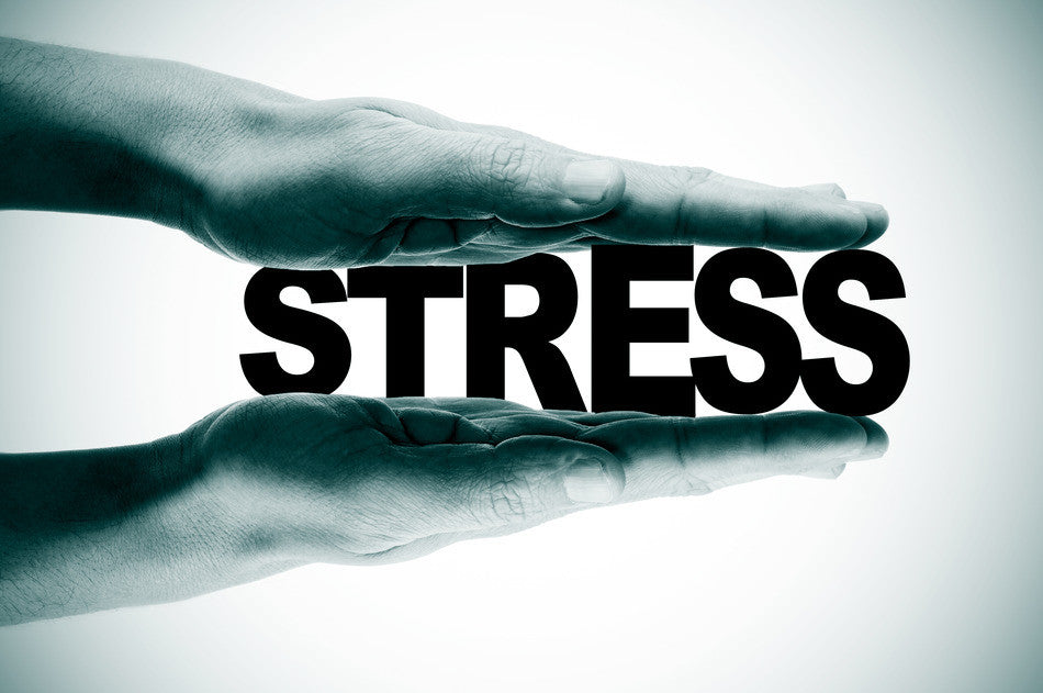 The Importance of Stress Reduction in the Maintenance of Wellness  and the Prevention of Chronic Disease